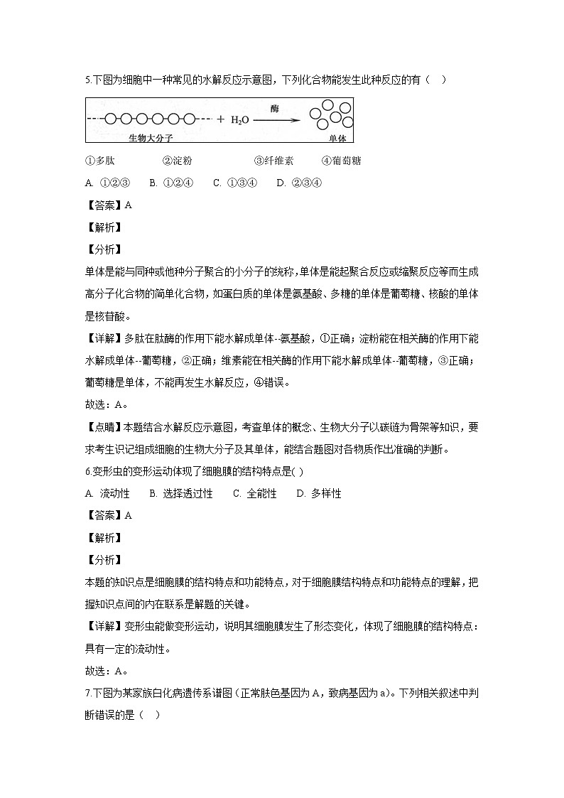 【生物】黑龙江省大庆实验中学2018-2019学年高二上学期期中考试（文）试题（解析版）03