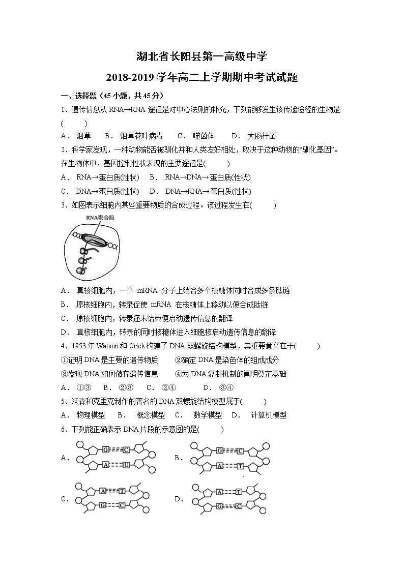 【生物】湖北省长阳县第一高级中学2018-2019学年高二上学期期中考试试题第1页