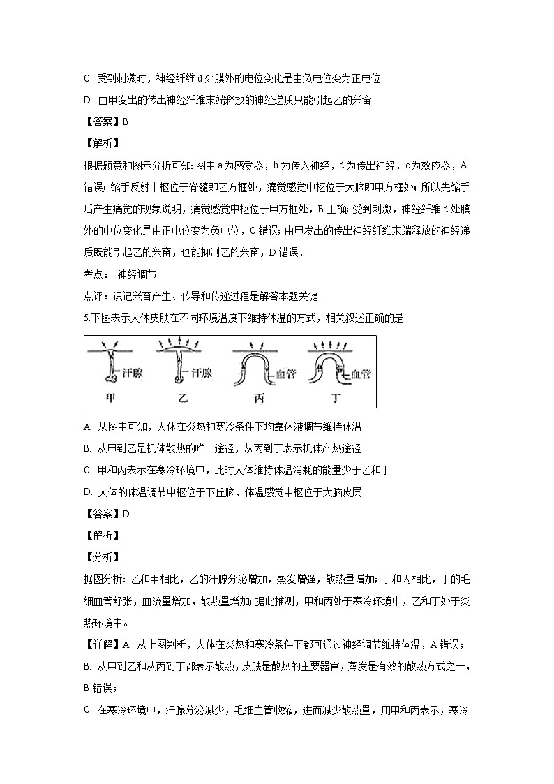【生物】江苏省扬州中学2018-2019学年高二上学期期中考试试题 （解析版）第3页