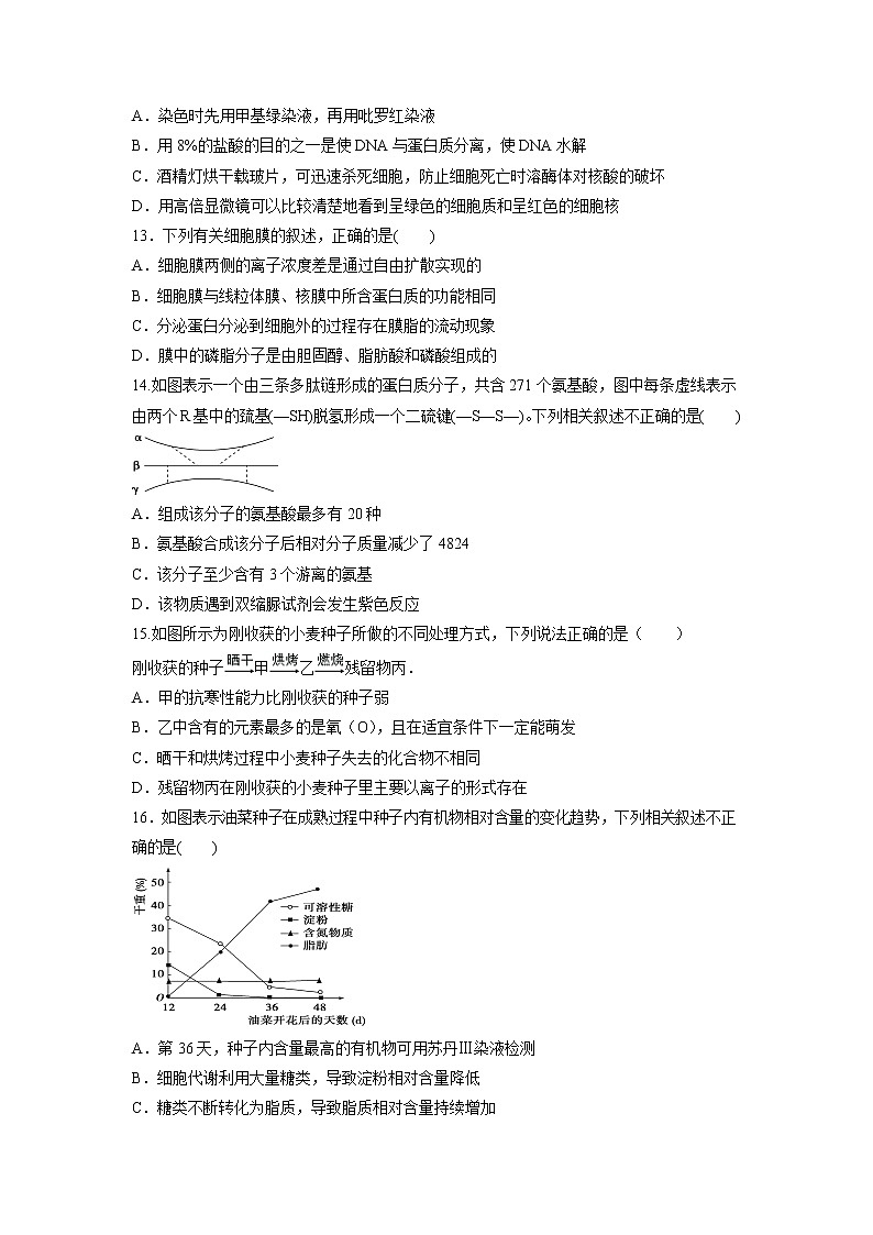 【生物】江西省赣州市十四县（市）2018-2019学年高二上学期期中联考试题03