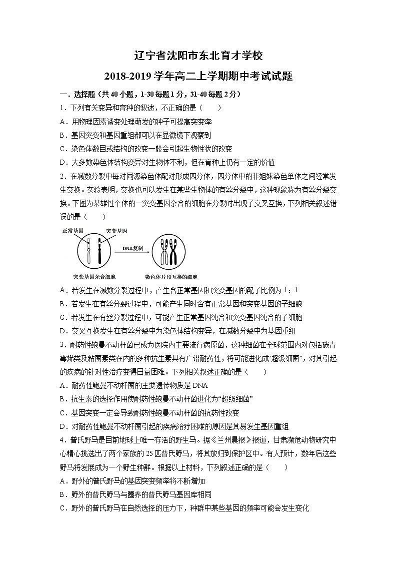 【生物】辽宁省沈阳市东北育才学校2018-2019学年高二上学期期中考试试题01