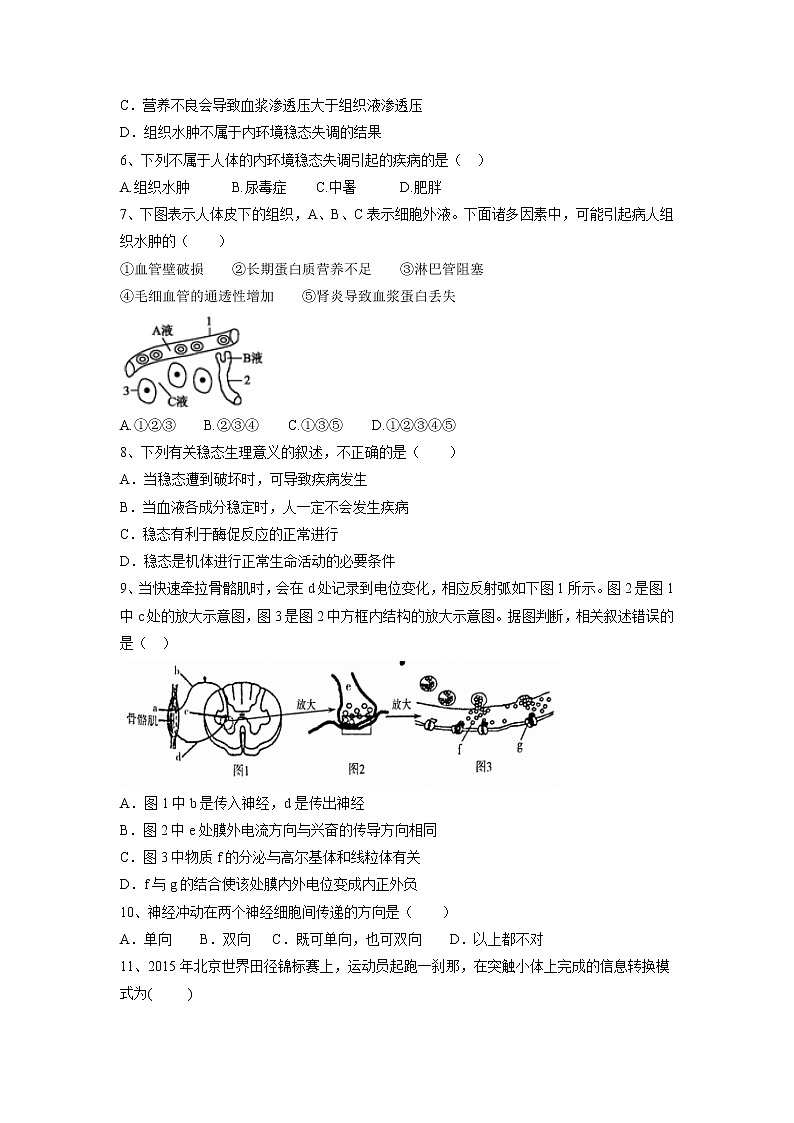 【生物】辽宁省普兰店市第一中学2018-2019学年高二上学期期中考试（理）试题02