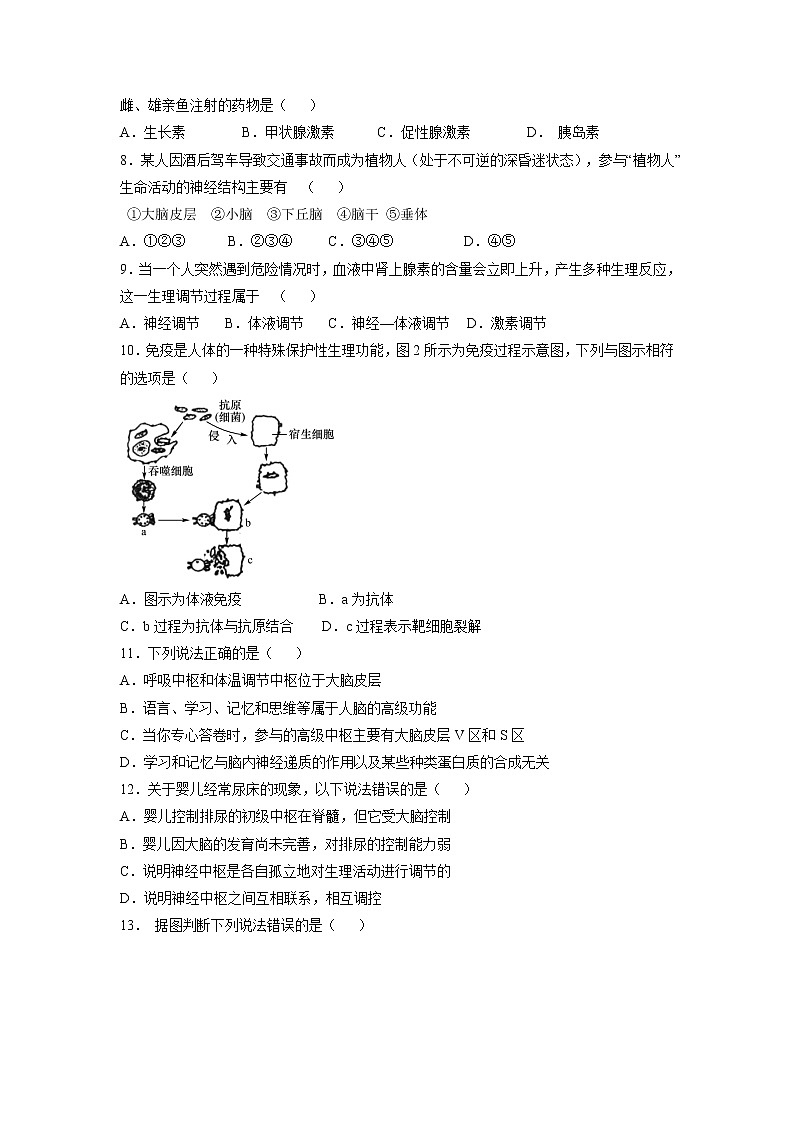【生物】辽宁省大连市一〇三中学2018-2019学年高二上学期期中考试试题02