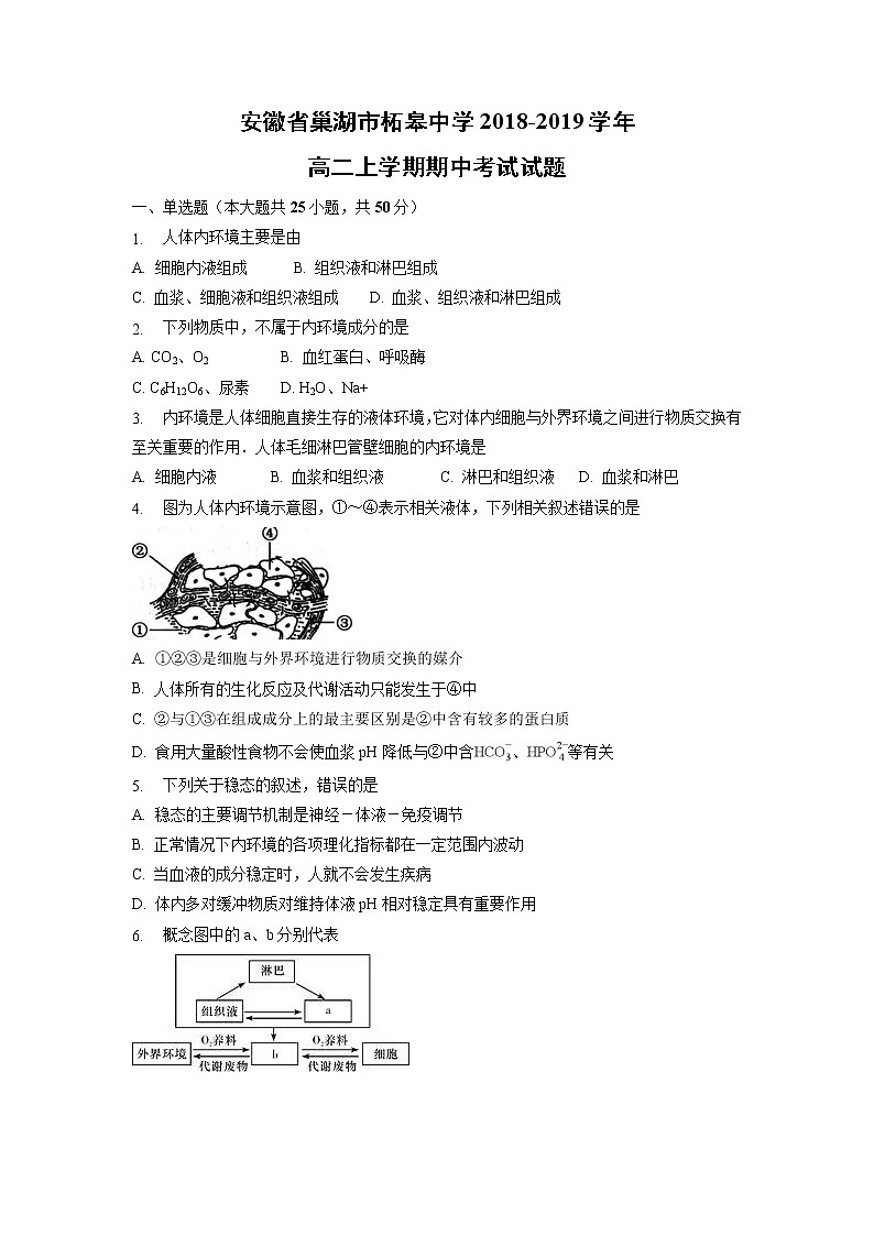 【生物】安徽省巢湖市柘皋中学2018-2019学年高二上学期期中考试试题01