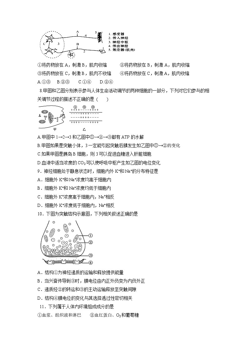【生物】福建省厦门市湖滨中学2018-2019学年高二上学期期中考试（理）试题02