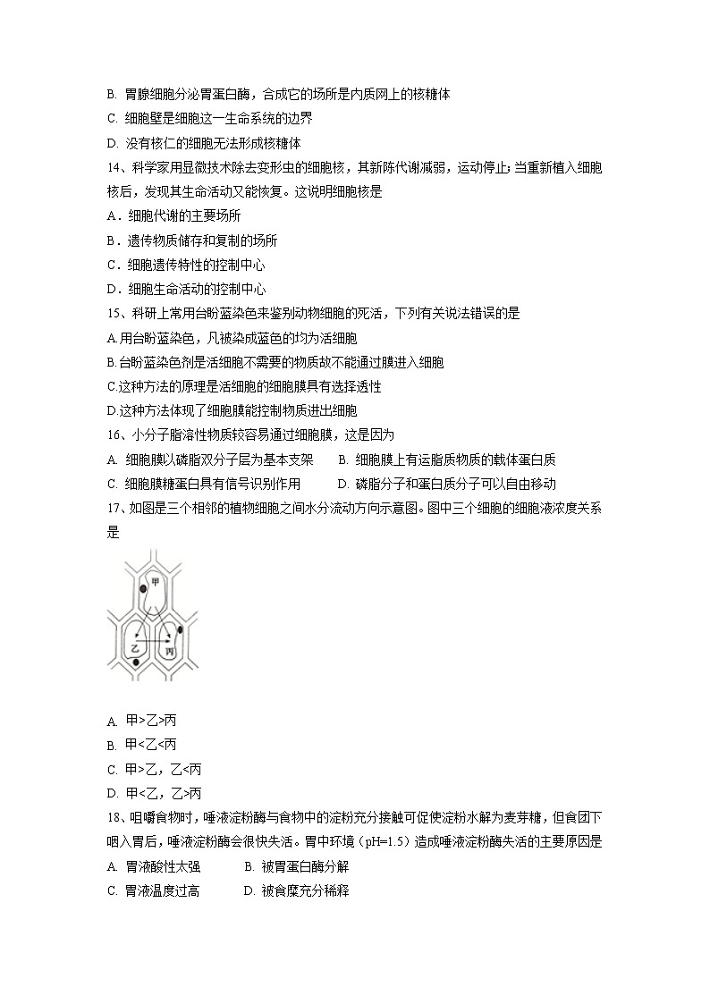 【生物】福建省师大附中2018-2019学年高二上学期期中考试试题（平行班）03