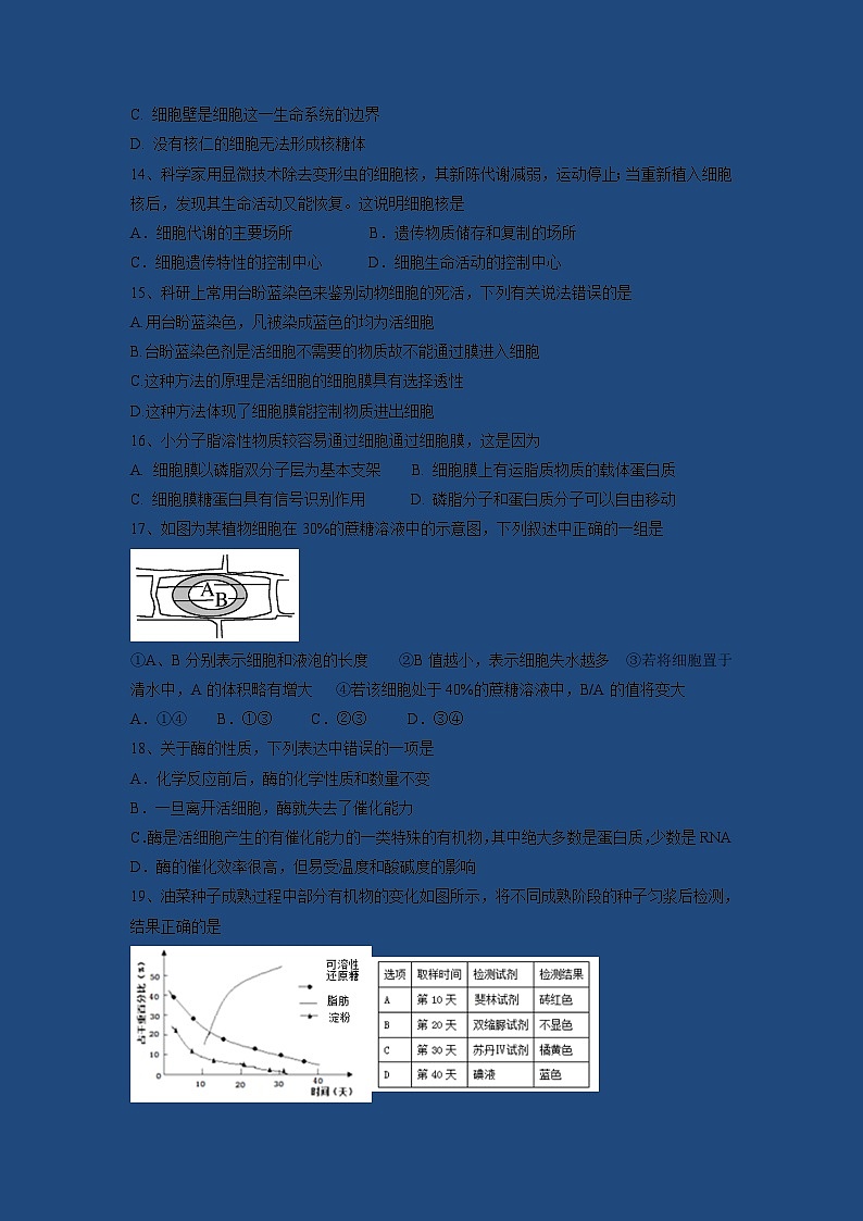 【生物】福建省师大附中2018-2019学年高二上学期期中考试试题（实验班）03