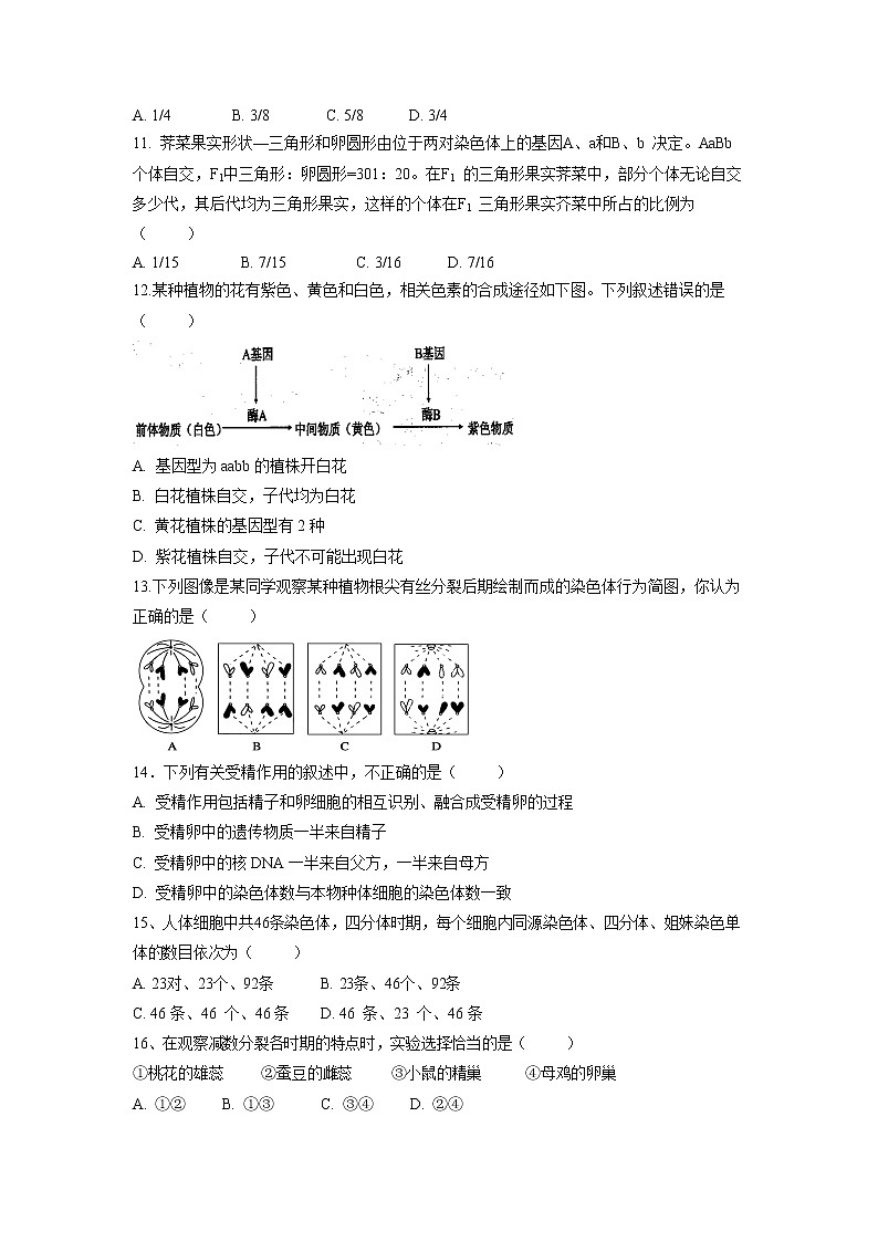 【生物】甘肃省会宁县第一中学2018-2019学年高二上学期期中考试（理）试题第3页