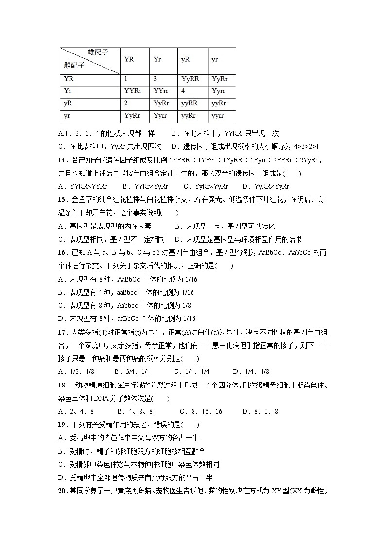 【生物】甘肃省白银市会宁县第四中学2018-2019学年高二上学期期中考试试题第3页