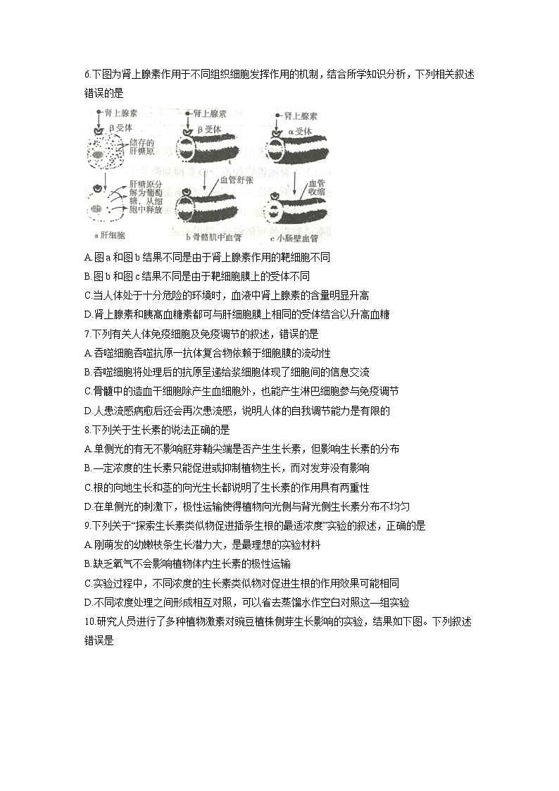 【生物】安徽省郎溪中学直升部2018-2019学年高二上学期期中考试试题02