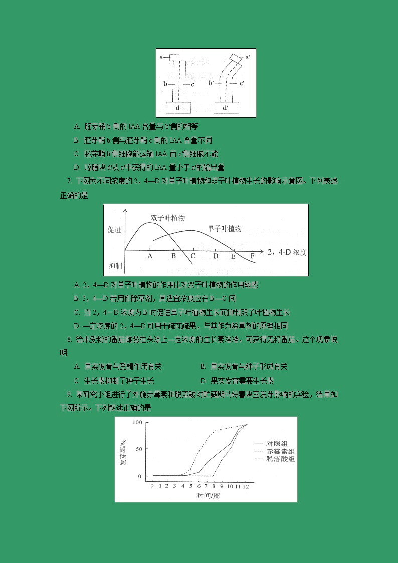 【生物】北京四中2018-2019学年高二上学期期中考试试卷02