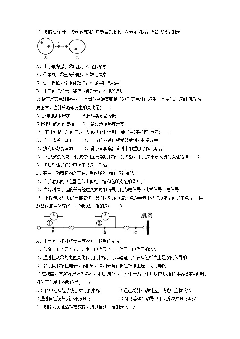 【生物】福建省晋江市季延中学2018-2019学年高二上学期期中考试生物（理）试题03