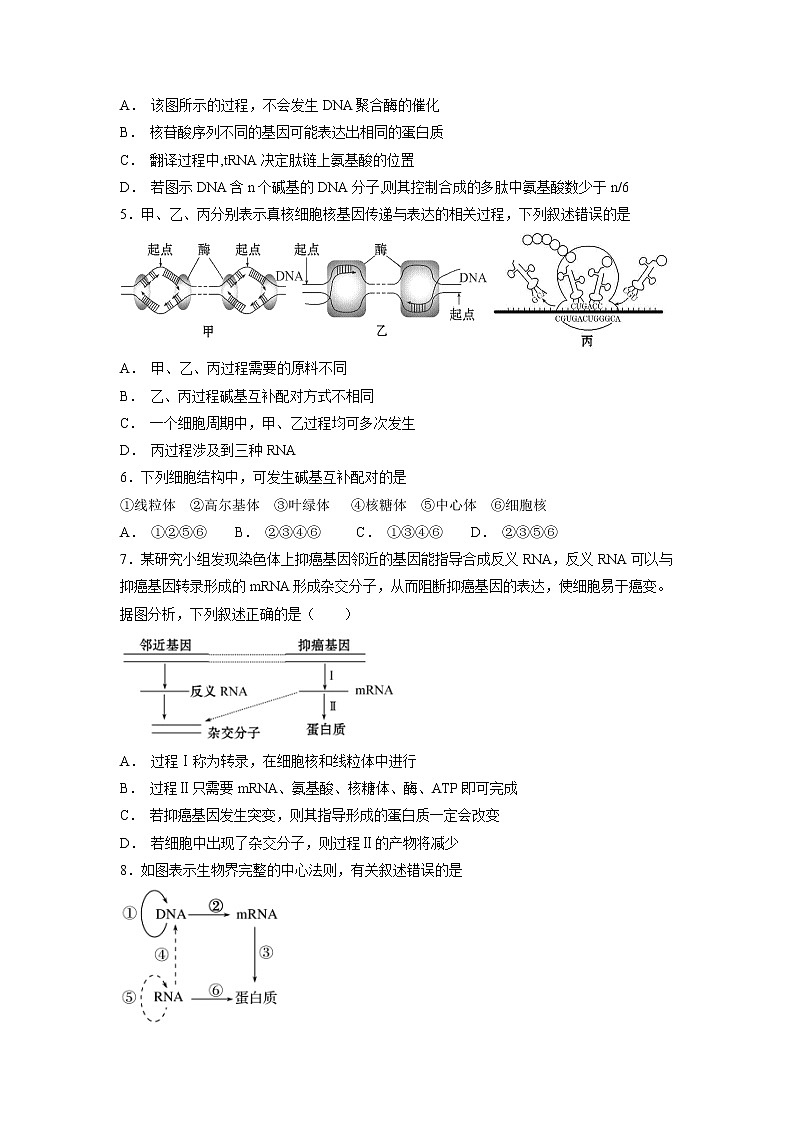 【生物】福建省莆田第八中学2018-2019学年高二上学期期中考试试题第2页