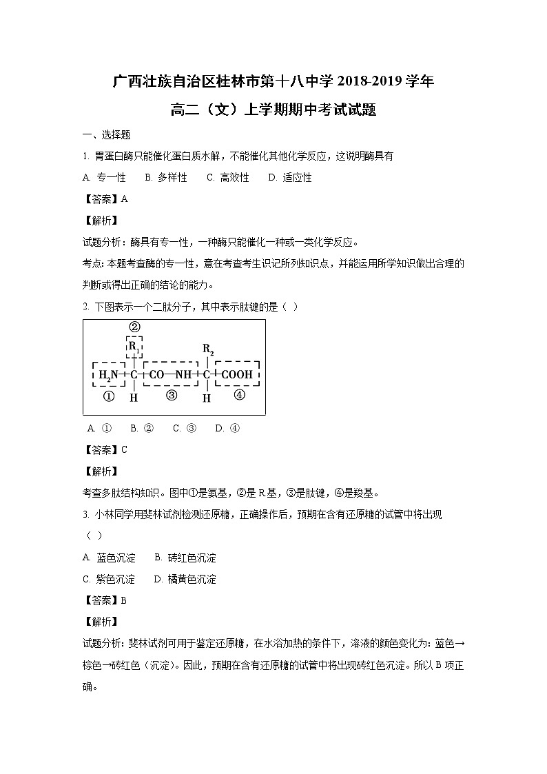 【生物】广西壮族自治区桂林市第十八中学2018-2019学年高二（文）上学期期中考试试题（解析版）01