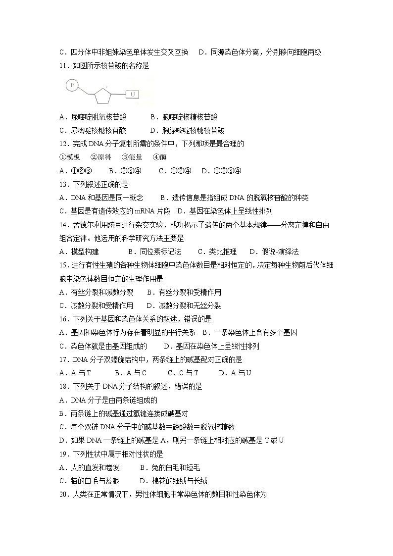 【生物】甘肃省兰州第一中学2018-2019学年高二上学期期中考试（文）试题02