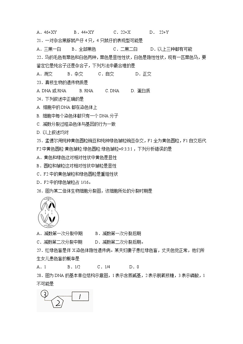【生物】甘肃省兰州第一中学2018-2019学年高二上学期期中考试（文）试题03