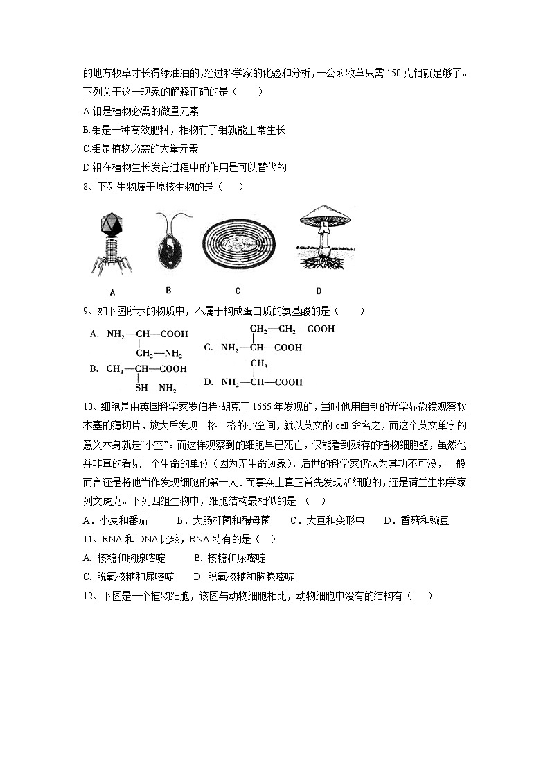 【生物】甘肃省临夏中学2018-2019学年高二上学期期中考试（文）试题02