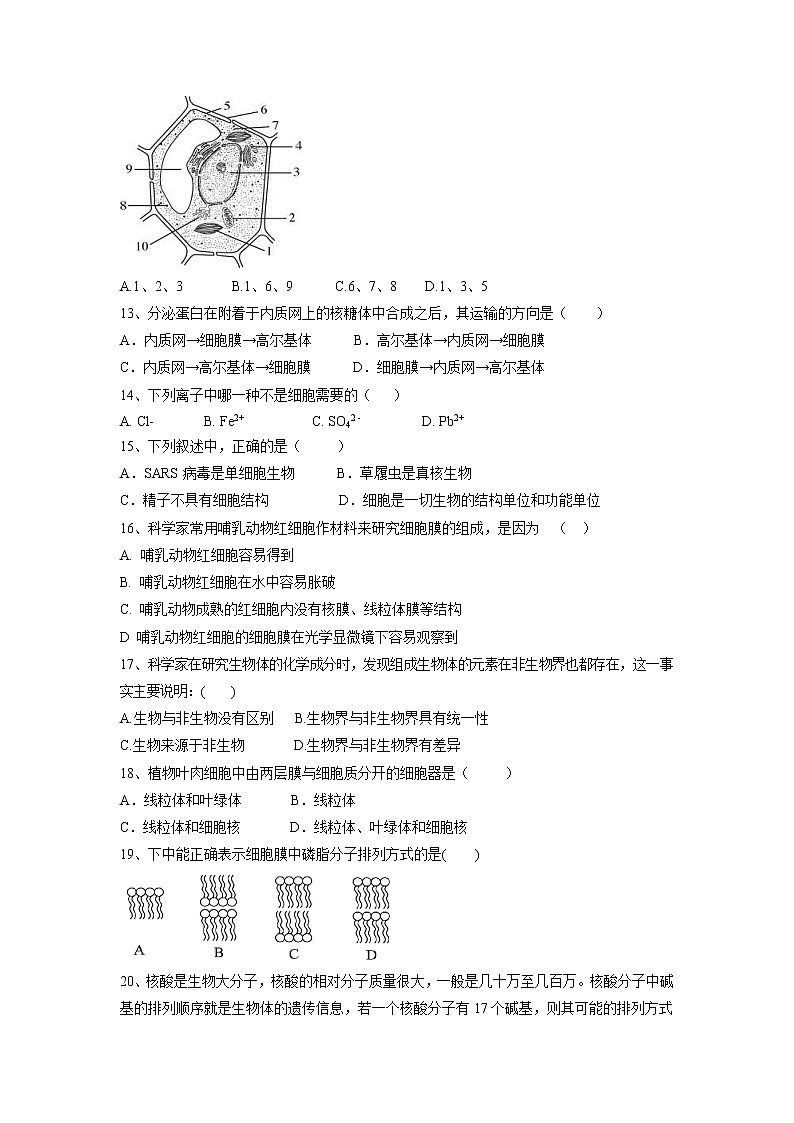 【生物】甘肃省临夏中学2018-2019学年高二上学期期中考试（文）试题03