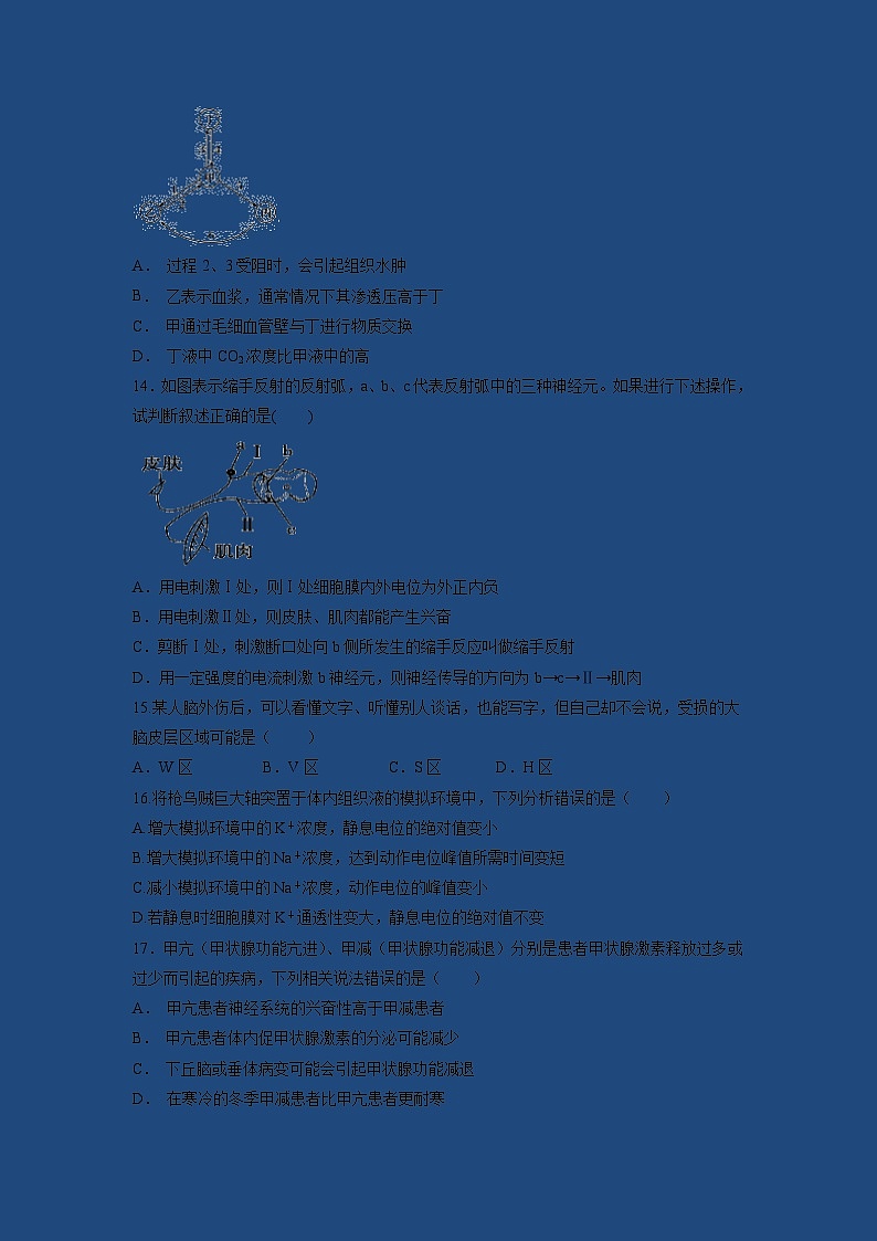【生物】广东省江门市第二中学2018-2019学年高二上学期期中考试试题第3页