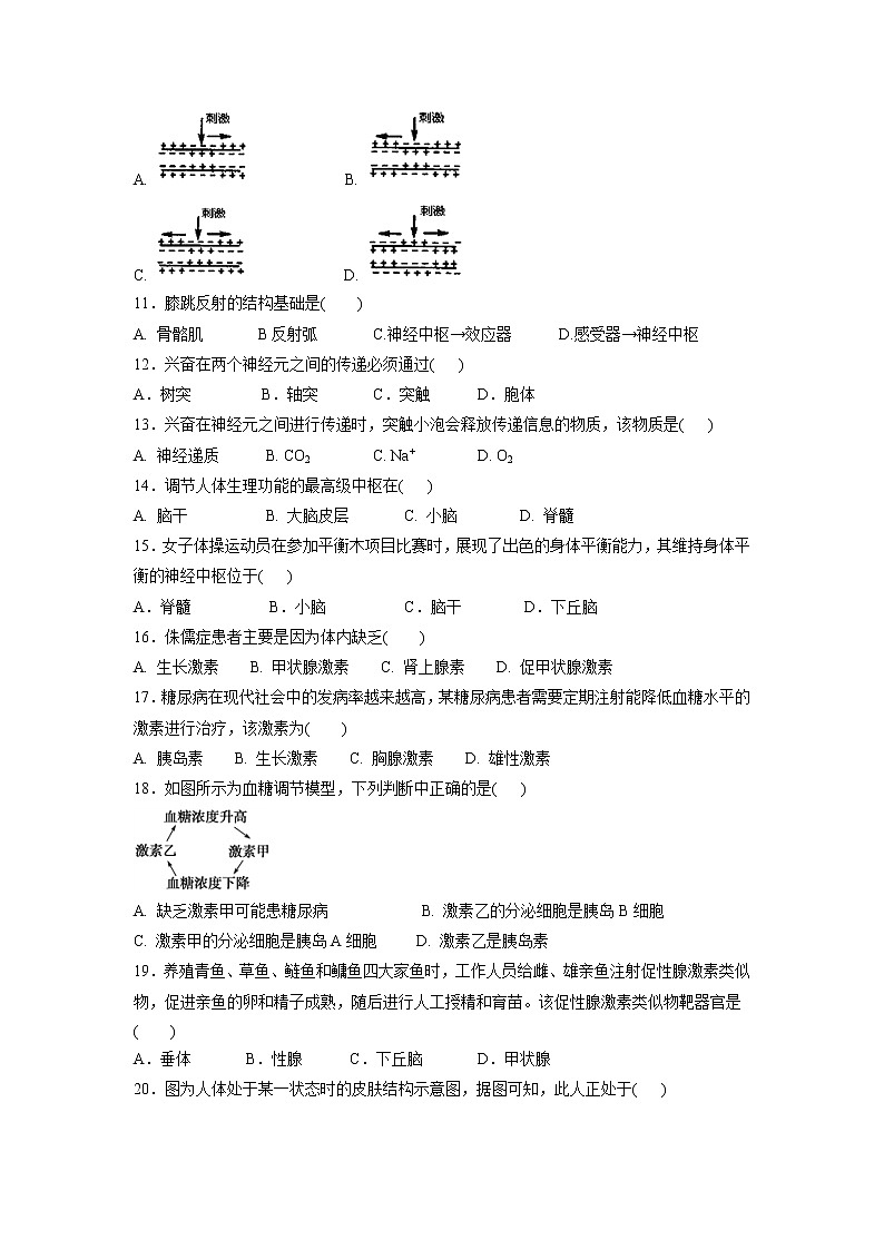【生物】广东省汕头市金山中学2018-2019学年高二上学期期中考试 （学业水平）02