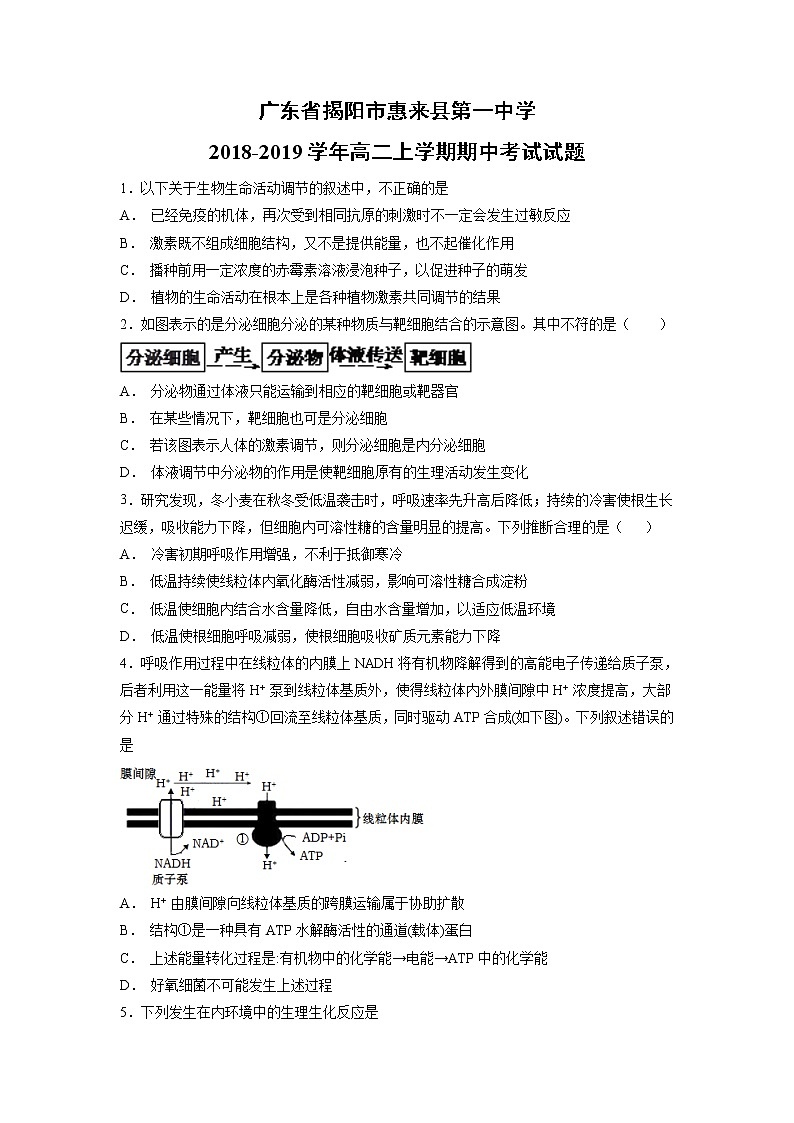【生物】广东省揭阳市惠来县第一中学2018-2019学年高二上学期期中考试试题第1页