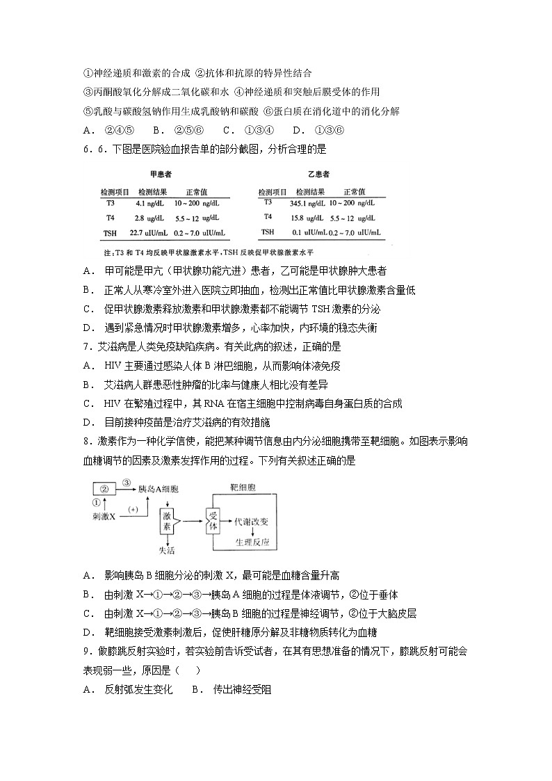 【生物】广东省揭阳市惠来县第一中学2018-2019学年高二上学期期中考试试题第2页