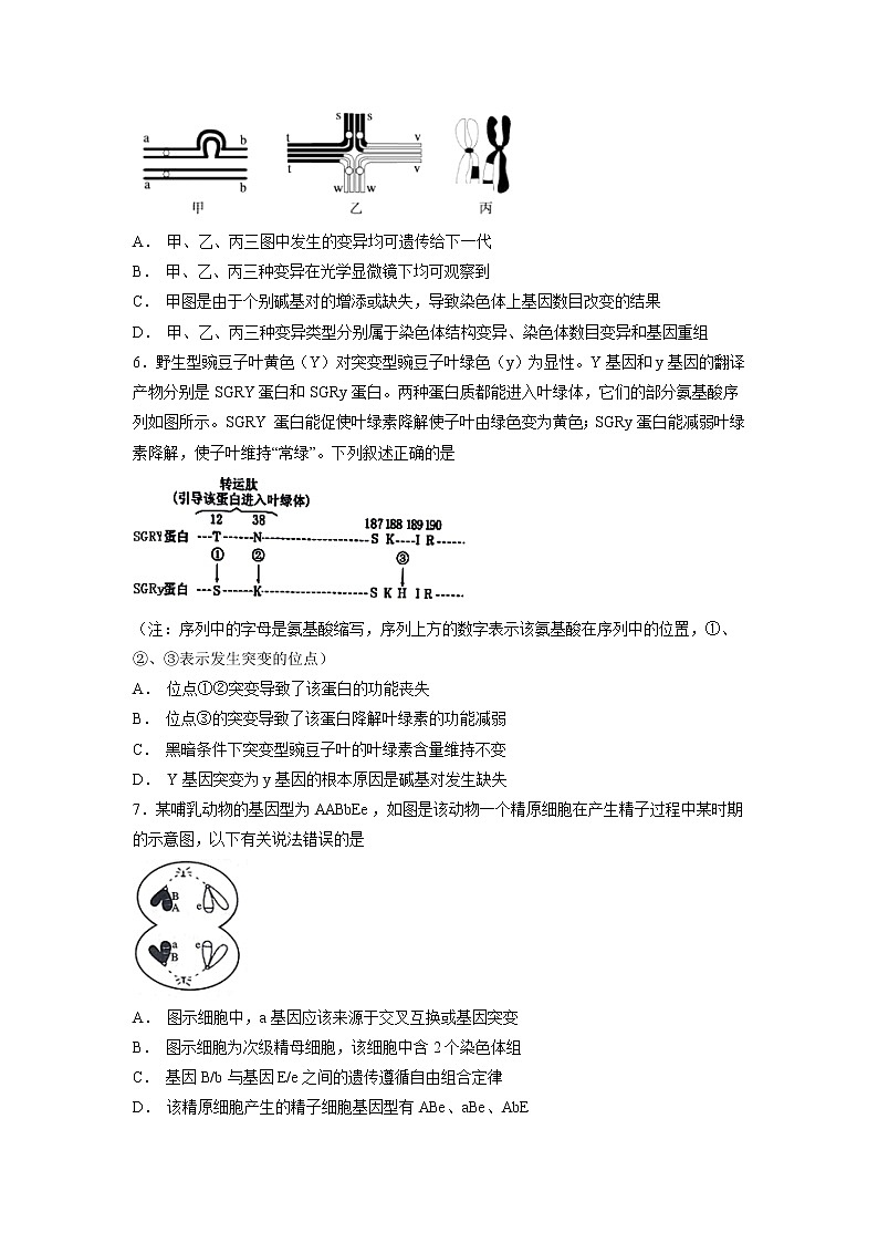 【生物】广东省深圳市高级中学2018-2019学年高二上学期期中考试02