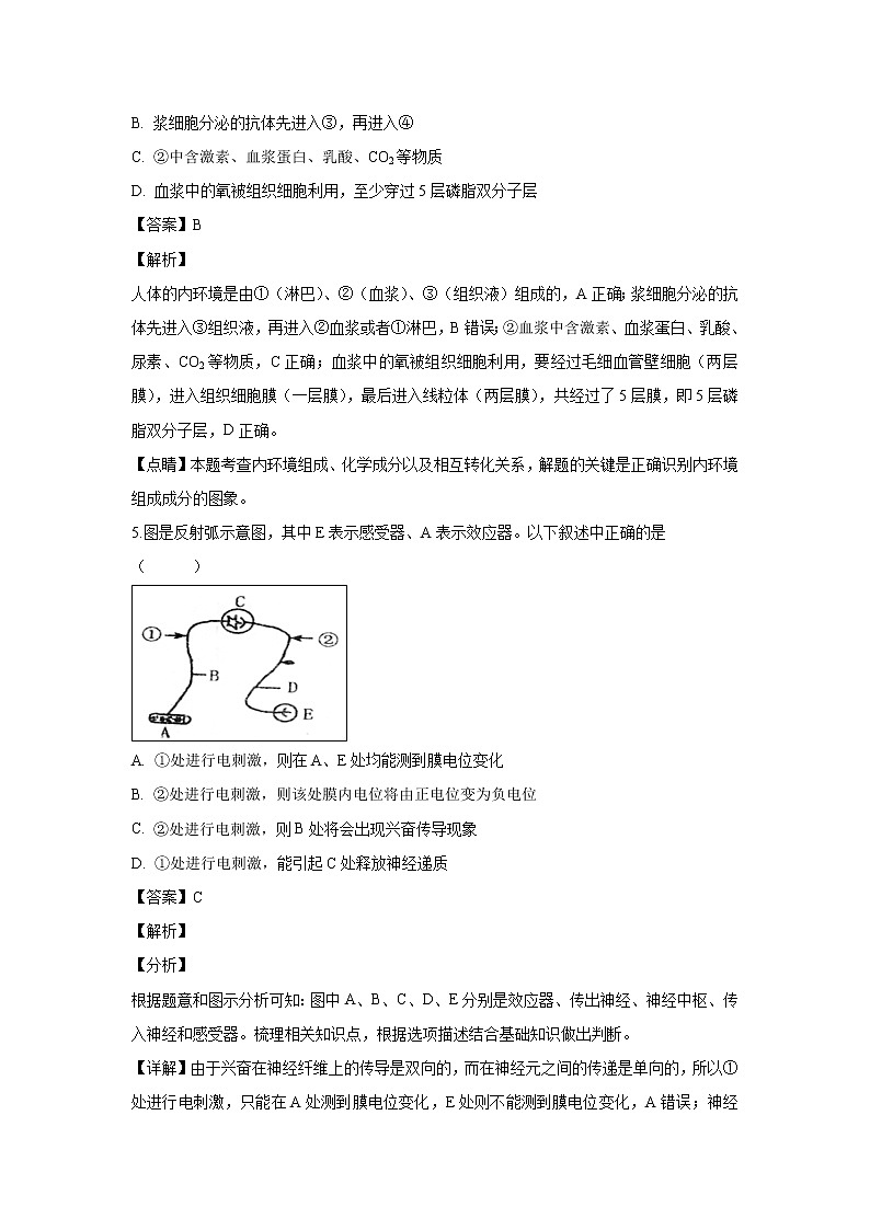 【生物】黑龙江省牡丹江市第一高级中学2018-2019学年高二上学期期中考试（理科）试题（解析版）03