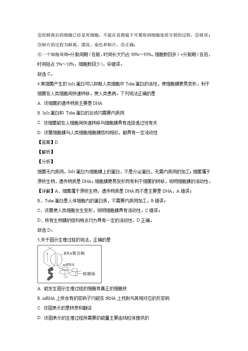 【生物】江西省玉山县第一中学2018-2019学年高二（平行班）下学期第一次月考试题（解析版）第3页