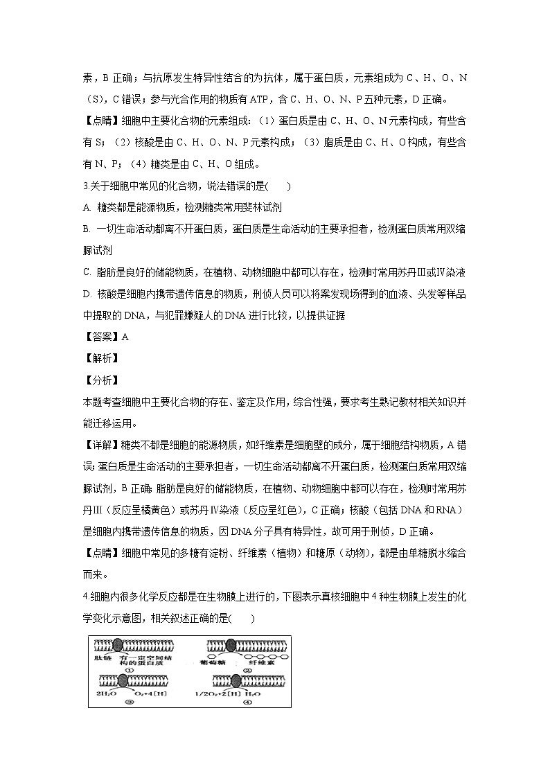 【生物】辽宁省六校协作体2018-2019学年高二下学期期初考试试题 （解析版）第2页
