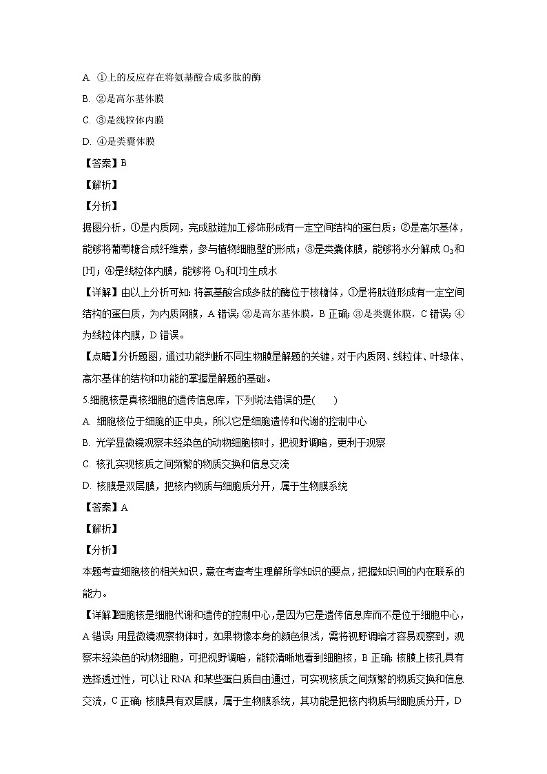 【生物】辽宁省六校协作体2018-2019学年高二下学期期初考试试题 （解析版）第3页