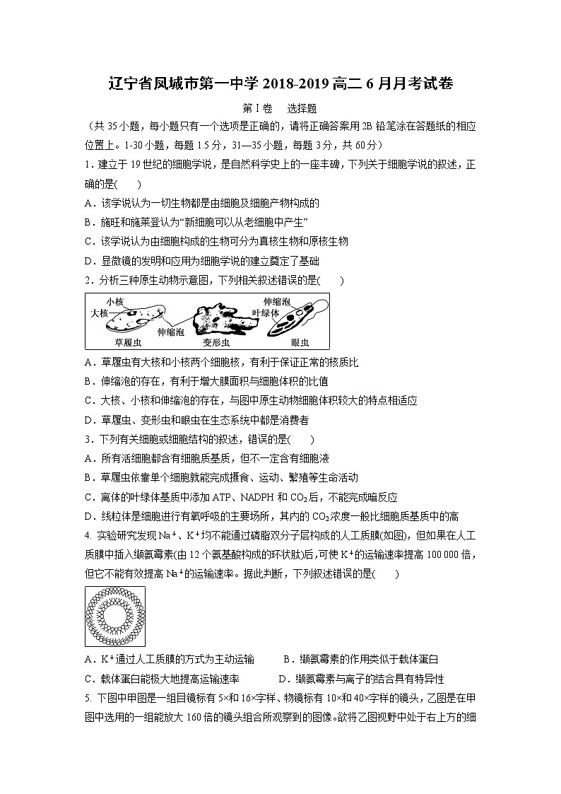 【生物】辽宁省凤城市第一中学2018-2019高二6月月考试卷第1页
