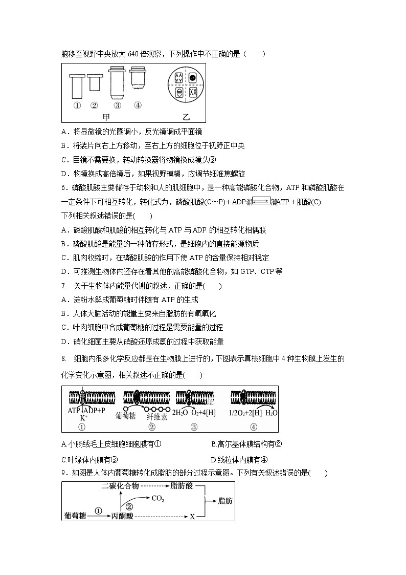 【生物】辽宁省凤城市第一中学2018-2019高二6月月考试卷第2页