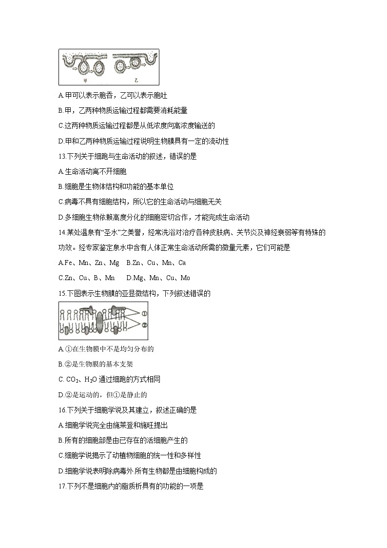 【生物】辽宁省葫芦岛市2018-2019学年高二下学期学业质量监测03