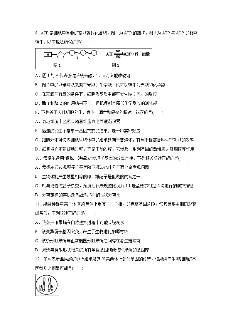 【生物】内蒙古赤峰二中2018-2019学年高二下学期第二次月考试题03
