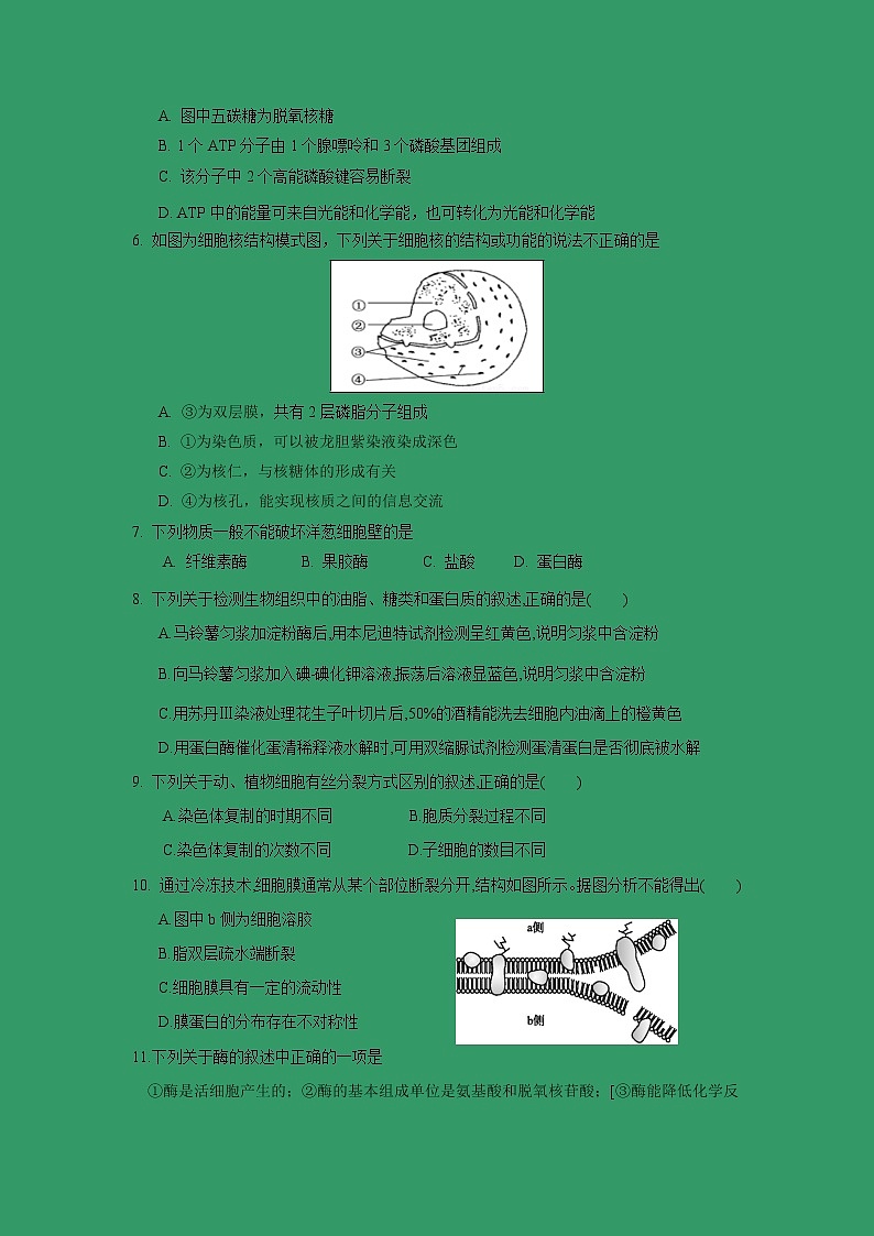 【生物】浙江省台州市书生中学2018-2019学年高二下学期第一次月考试题第2页