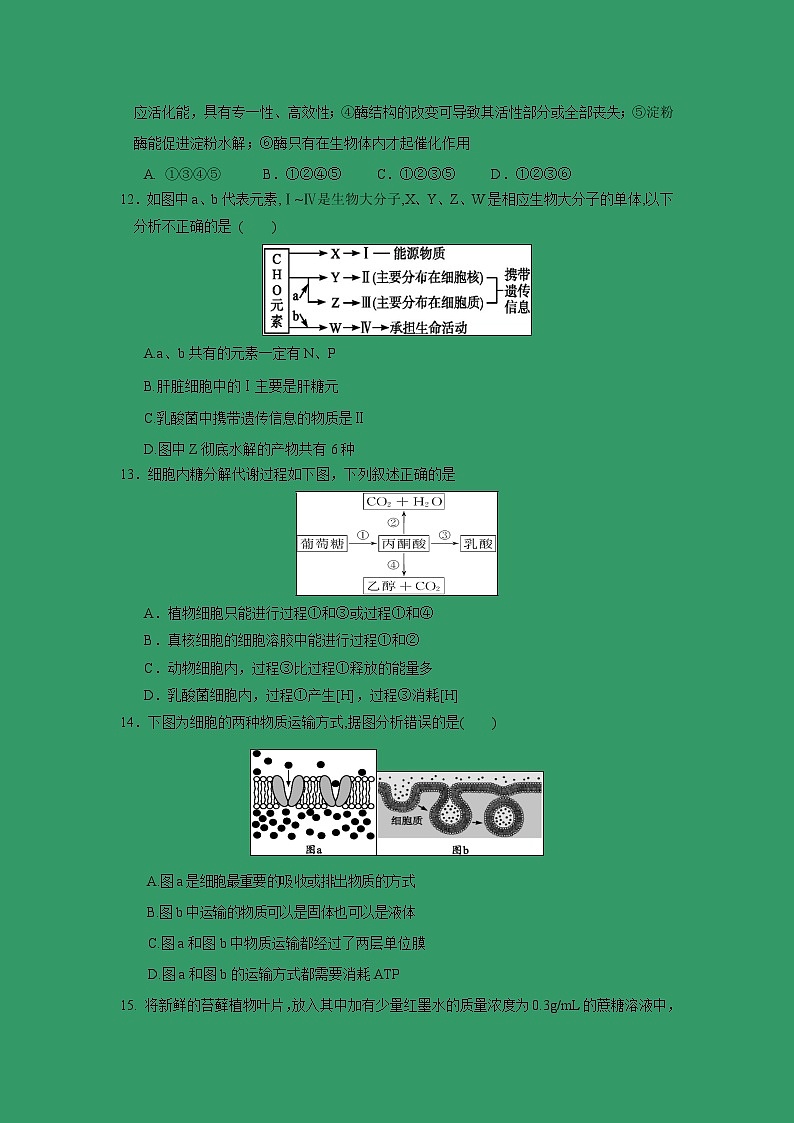 【生物】浙江省台州市书生中学2018-2019学年高二下学期第一次月考试题第3页