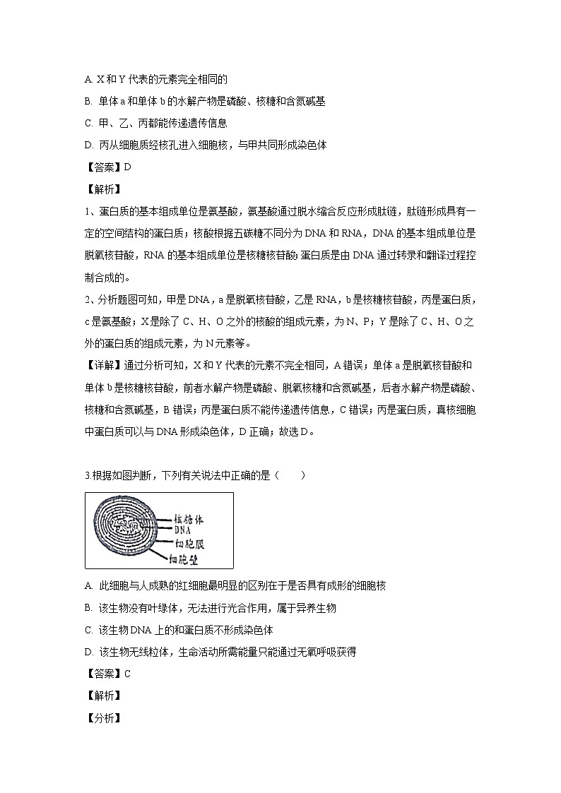 【生物】山西省长治市二中2018-2019学年高二下学期第二次月考试题（解析版）02
