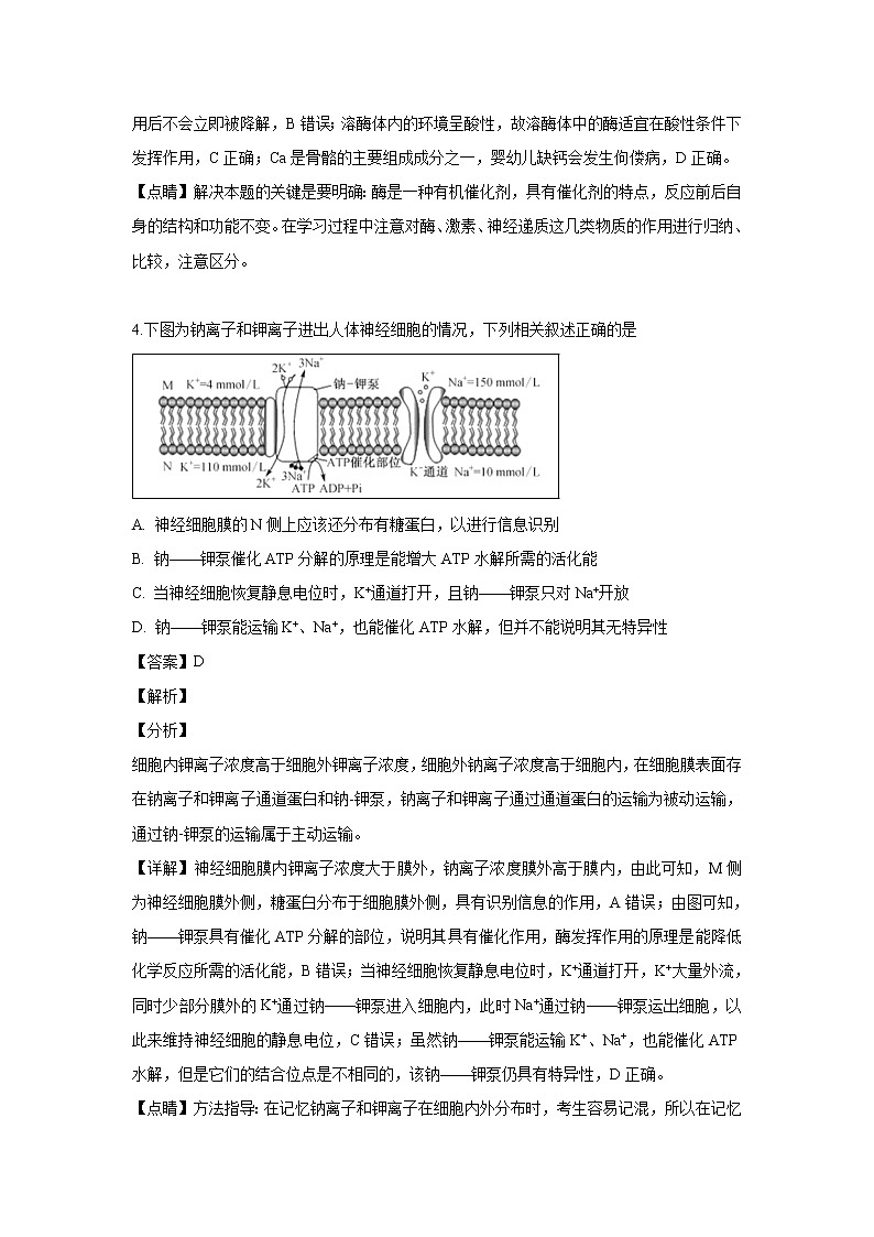 【生物】山西省忻州市一中2018-2019学年高二下学期第三次月考试题（解析版）03