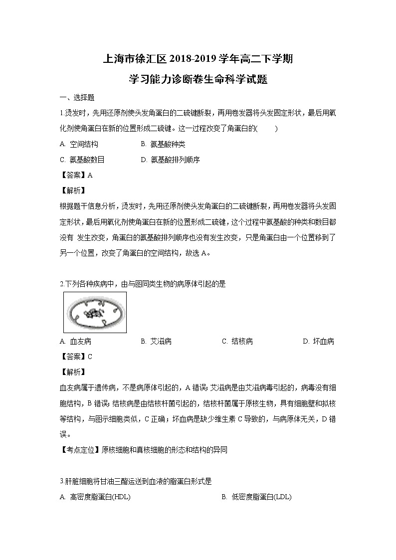 【生物】上海市徐汇区2018-2019学年高二下学期学习能力诊断卷生命科学试题 （解析版）01