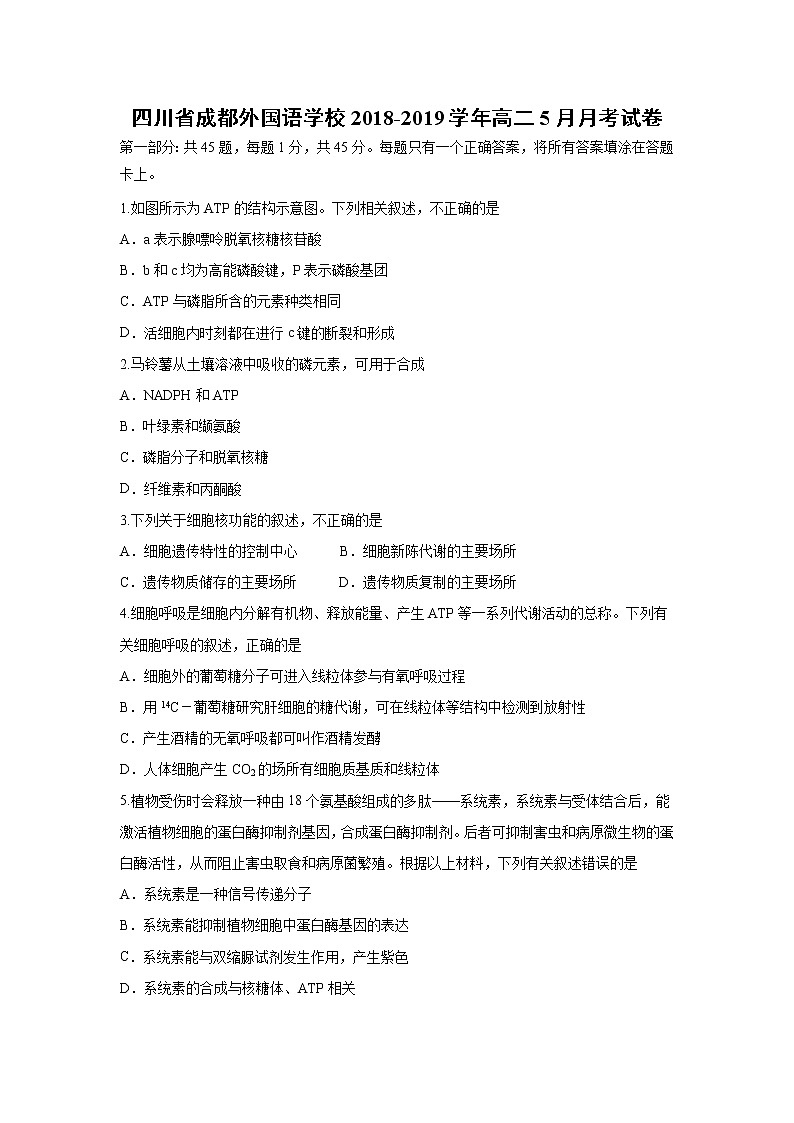 【生物】四川省成都外国语学校2018-2019学年高二5月月考试卷01
