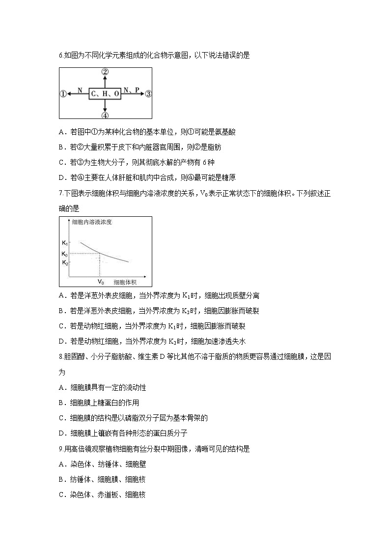【生物】四川省成都外国语学校2018-2019学年高二5月月考试卷02
