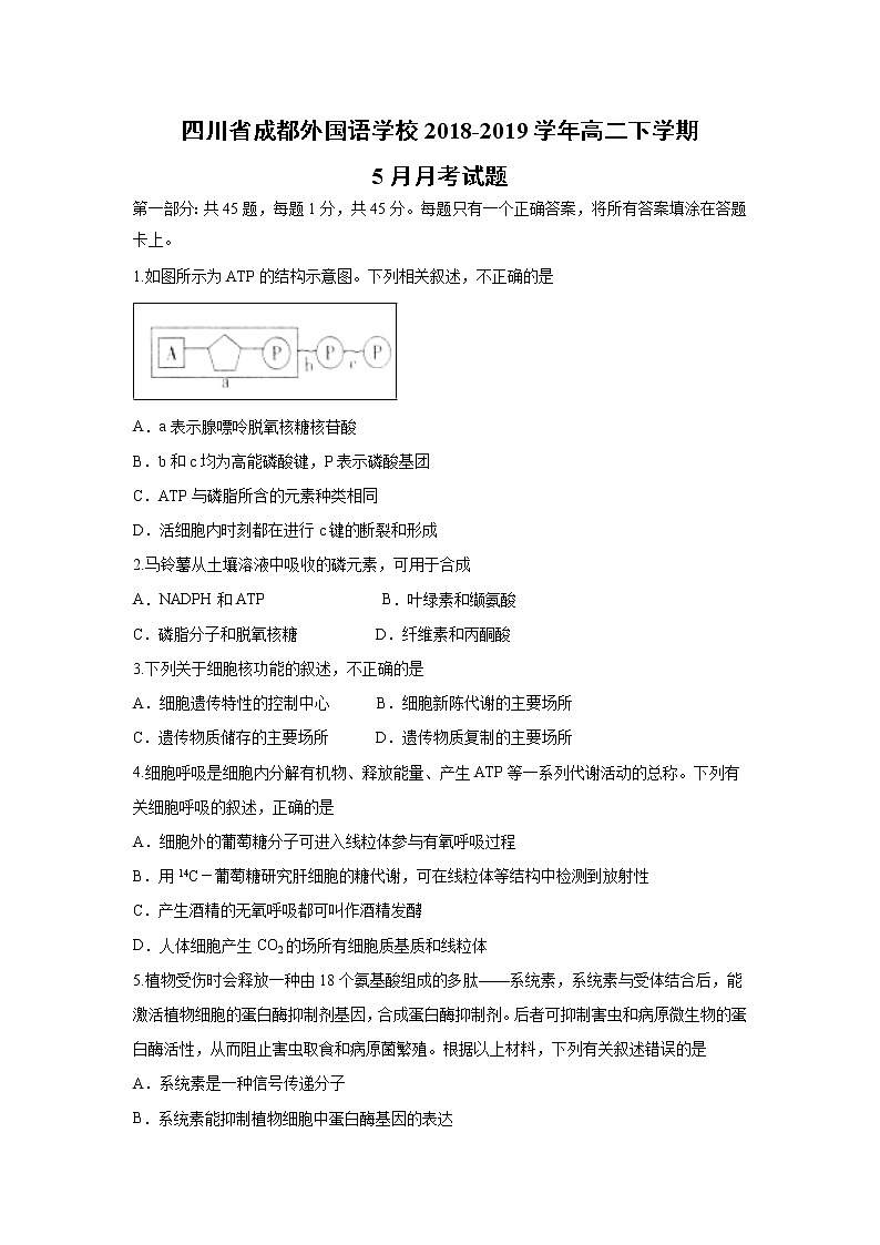 【生物】四川省成都外国语学校2018-2019学年高二下学期5月月考试题01