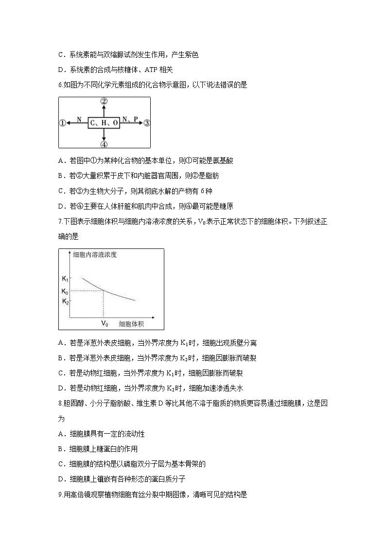 【生物】四川省成都外国语学校2018-2019学年高二下学期5月月考试题02