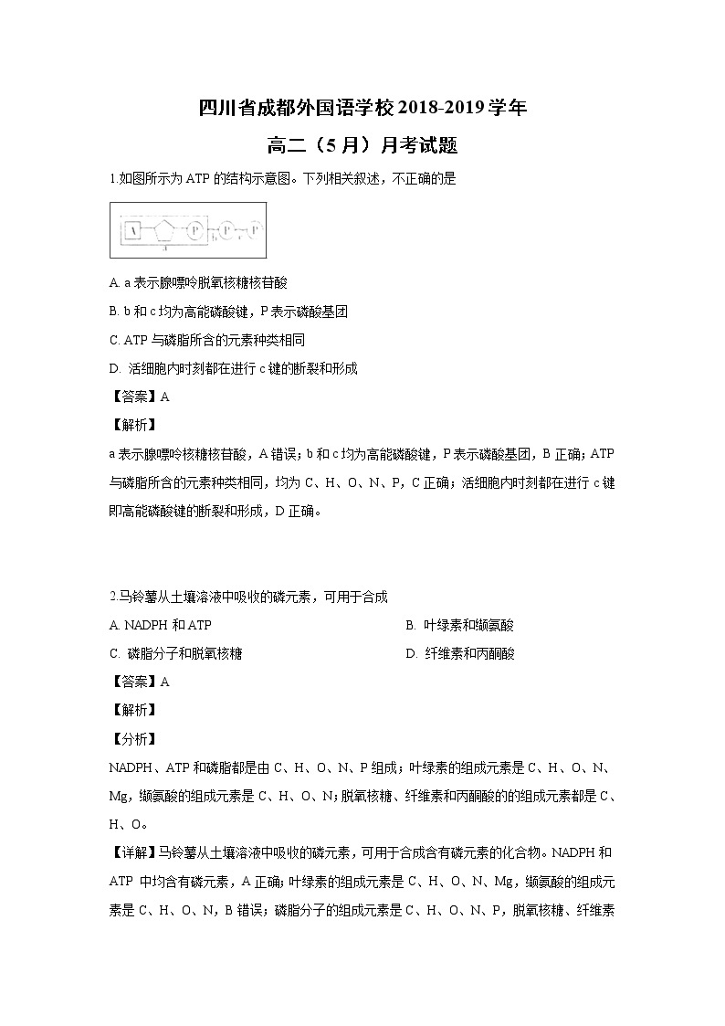 【生物】四川省成都外国语学校2018-2019学年高二（5月）月考试题（解析版）01