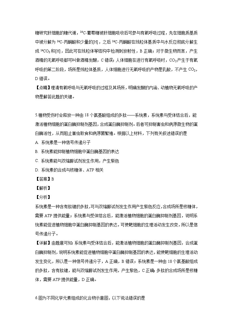 【生物】四川省成都外国语学校2018-2019学年高二（5月）月考试题（解析版）第3页