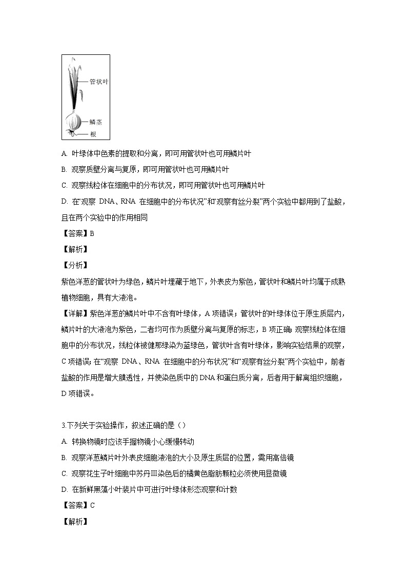 【生物】四川省树德中学2018-2019学年高二下学期5月阶段性测试试题（解析版）02