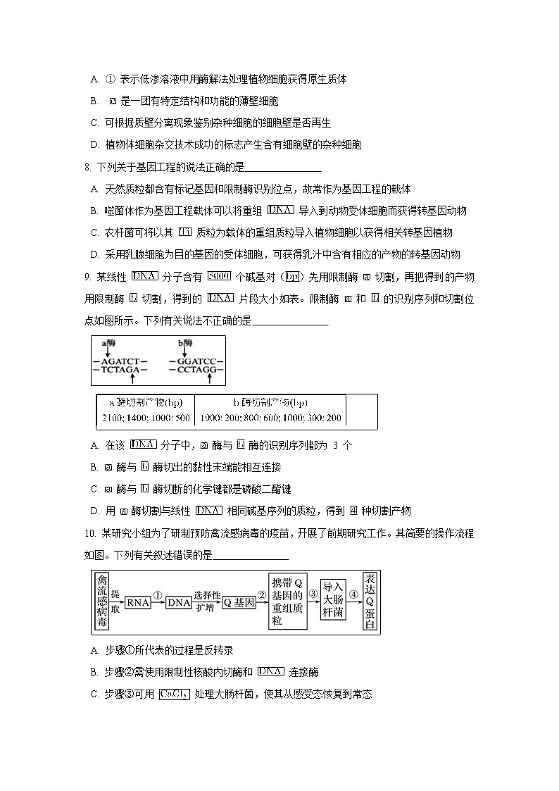 【生物】天津市武清区杨村第三中学2018-2019学年高二下学期第一次月考试题（解析版）03