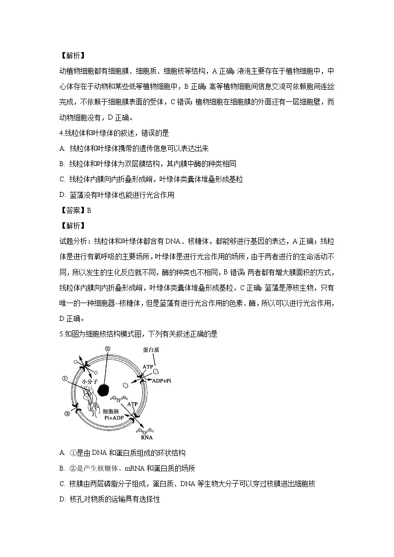【生物】新疆奎屯市第一高级中学2018-2019学年高二下学期3月月考试卷（解析版）第2页