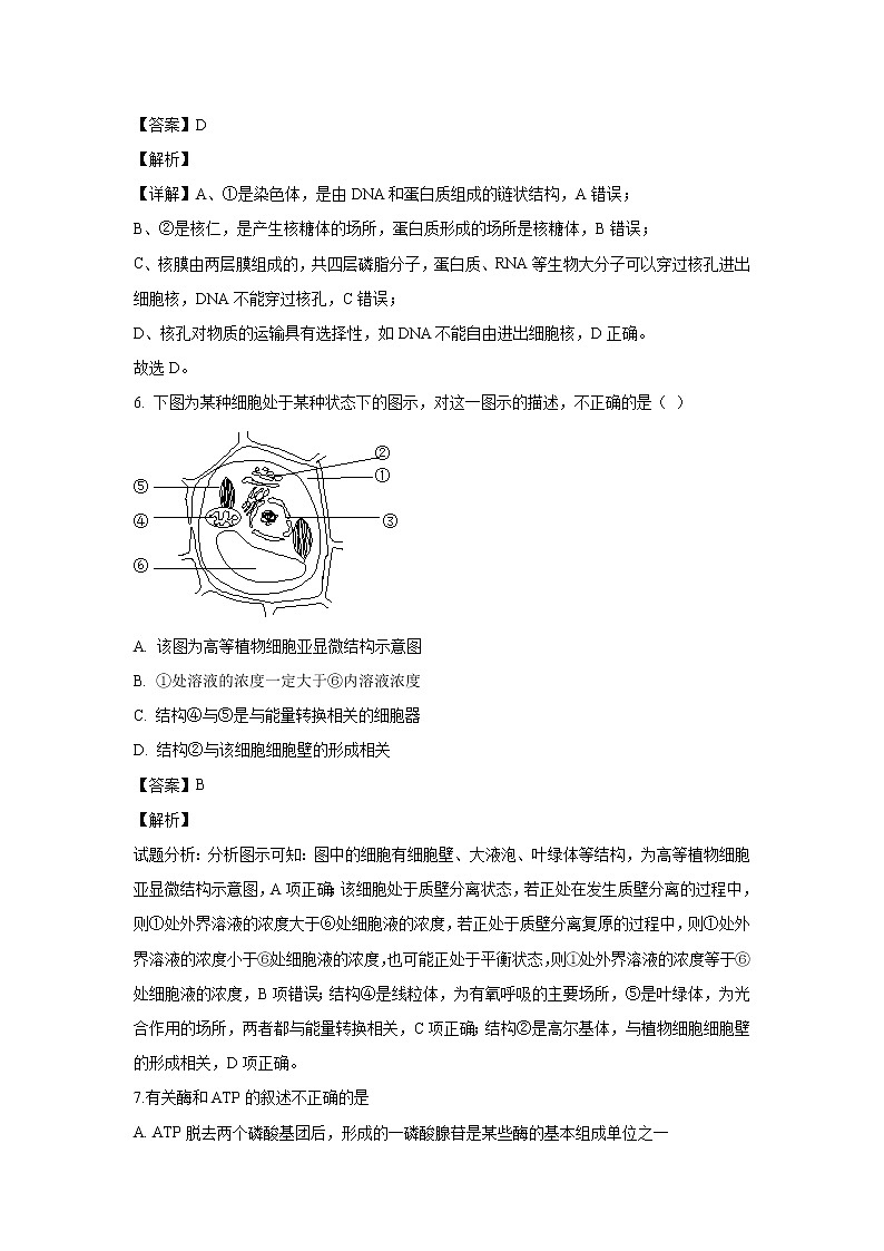 【生物】新疆奎屯市第一高级中学2018-2019学年高二下学期3月月考试卷（解析版）第3页